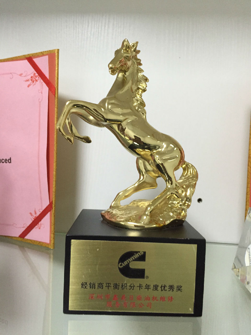 2017年經(jīng)銷(xiāo)商平衡積分卡優(yōu)秀獎_c